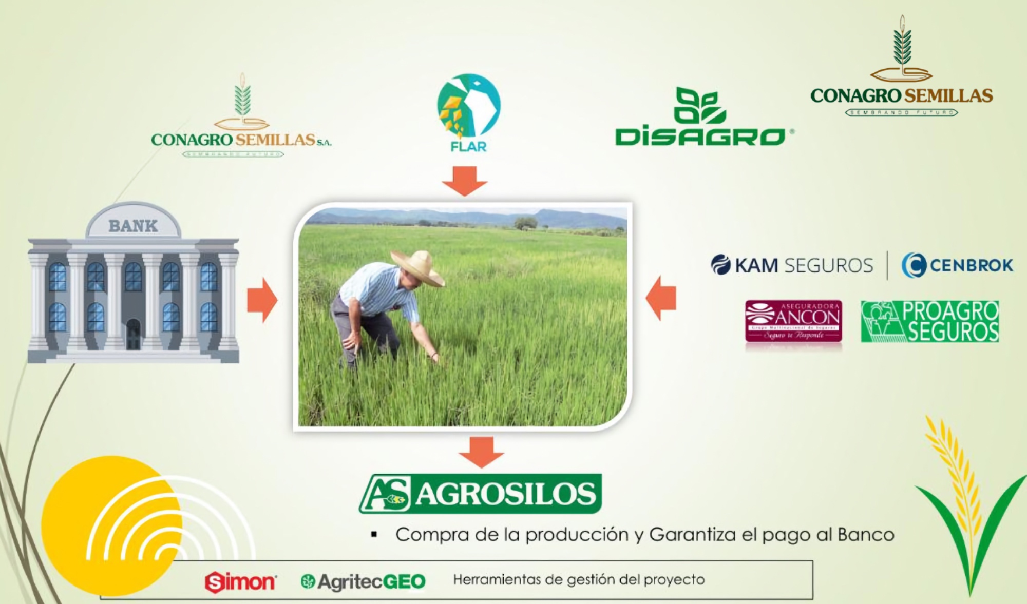 Panama Crece en Arroz programa con Conagro Semillas y Agrosilos